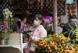 花街最新视频在线观看